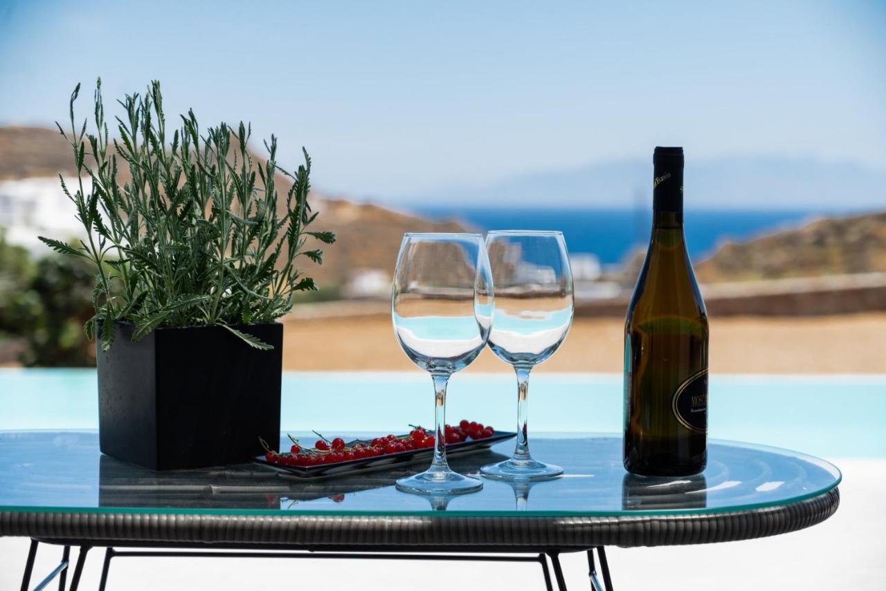Dioni Villa Mykonos Paraga  Zewnętrze zdjęcie