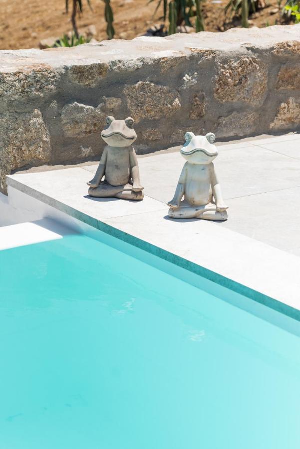 Dioni Villa Mykonos Paraga  Zewnętrze zdjęcie